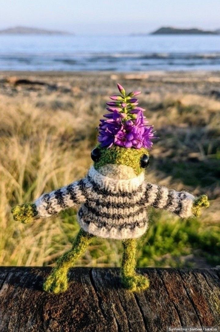 Один день из жизни вязаной лягушки 🐸
