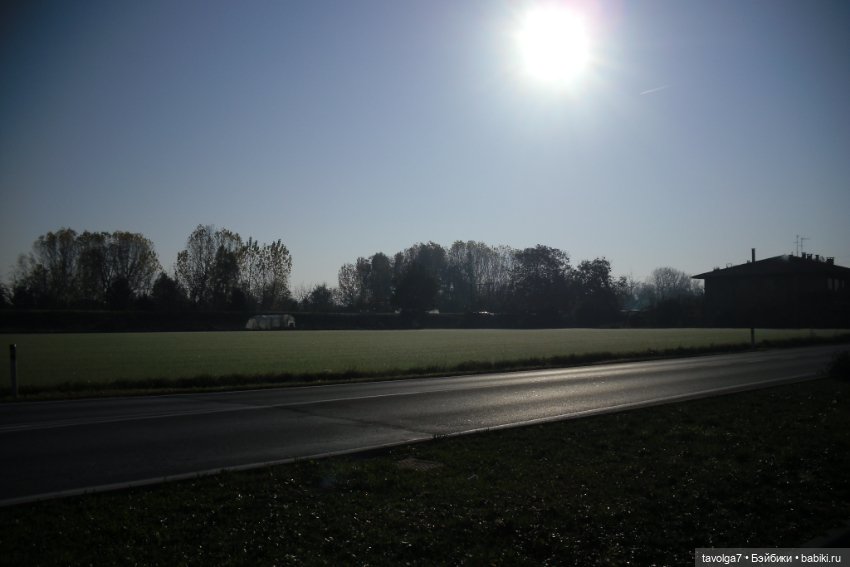 13 лет в кукло хобби — Домашние коллекции кукол: фото собраний (фото 2)