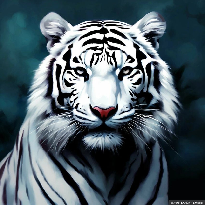 День тигра (приключения тельняшки)