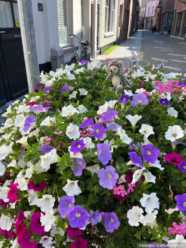 Музыкальная История 139 — Туризм и путешествия: фотоотчеты из поездок (фото 6)