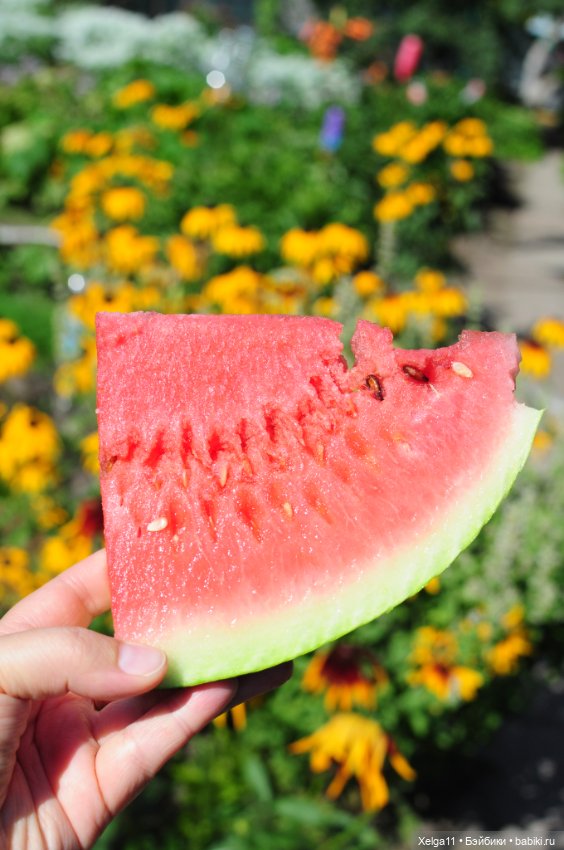 Pipita на даче!🌿💦🍉 — Куклы Holala (Холала) от Jenny Fairytown: Pipita (фото 6)