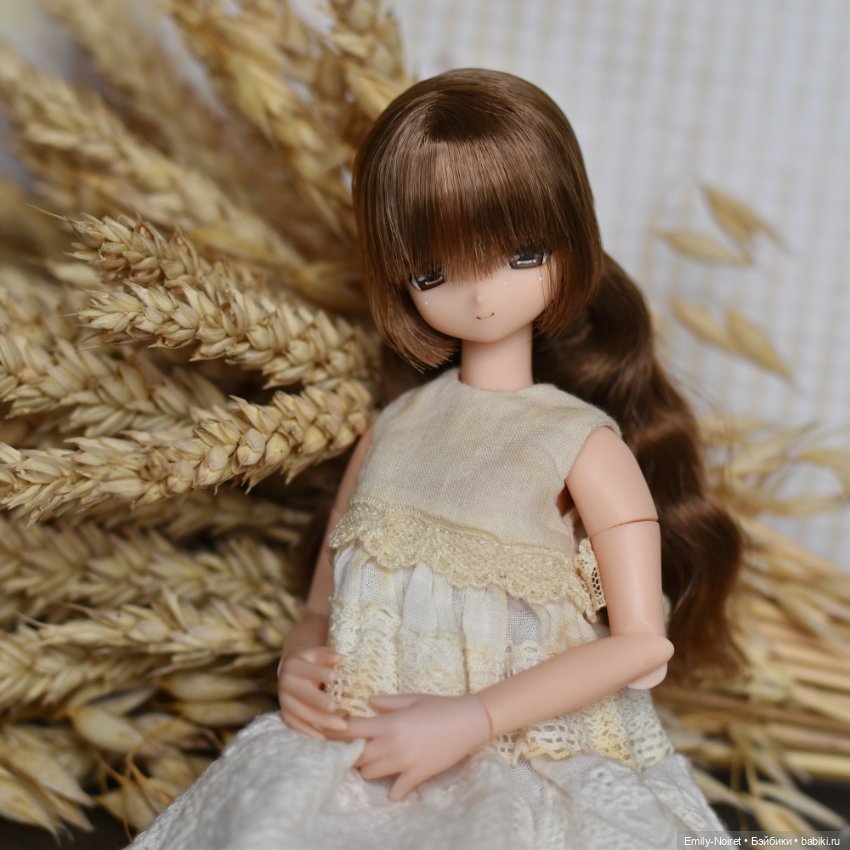 Пшеница и овес — Коллекции шарнирных (фото 4)