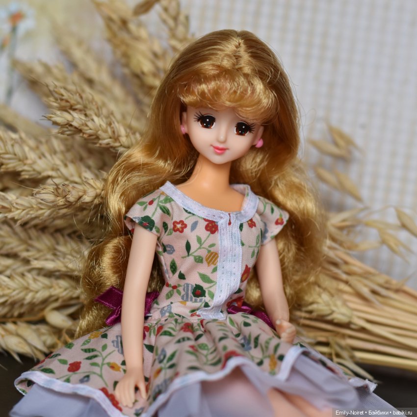 Пшеница и овес — Коллекции шарнирных (фото 7)