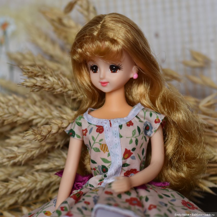 Пшеница и овес — Коллекции шарнирных (фото 9)