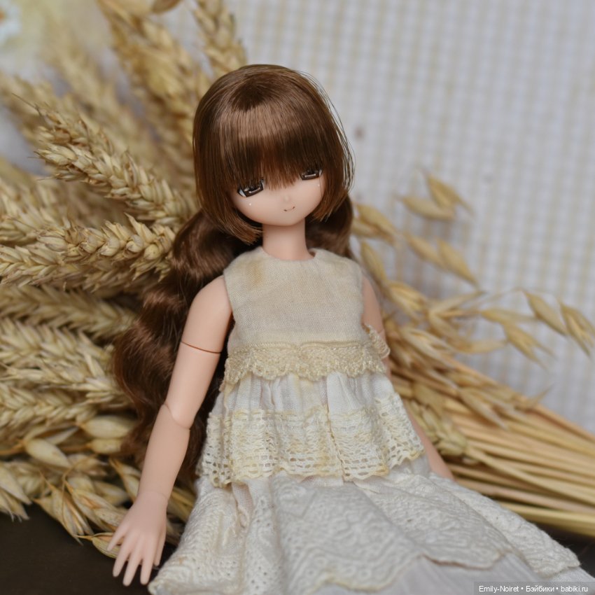 Пшеница и овес — Коллекции шарнирных (фото 6)