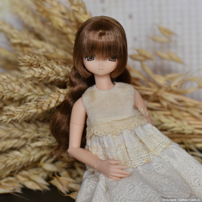 Пшеница и овес — Коллекции шарнирных (фото 5)