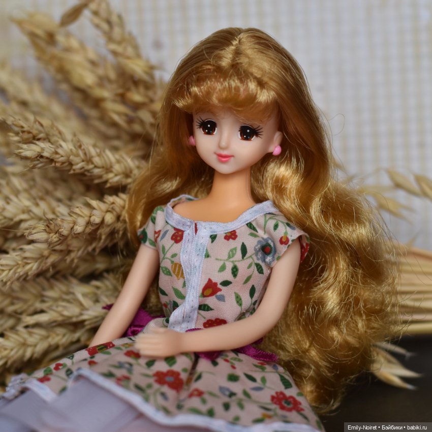 Пшеница и овес — Коллекции шарнирных (фото 8)