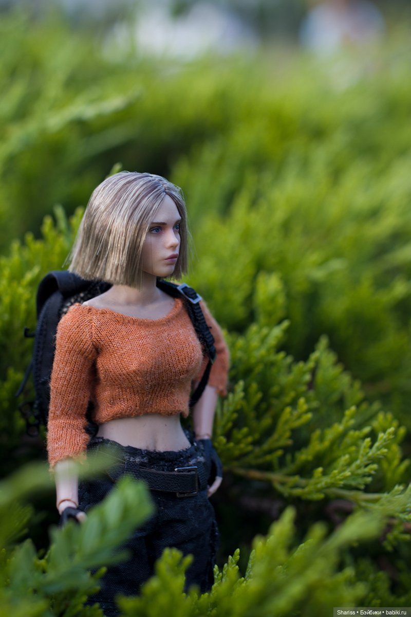 Через пустоши — Коллекционные экшн