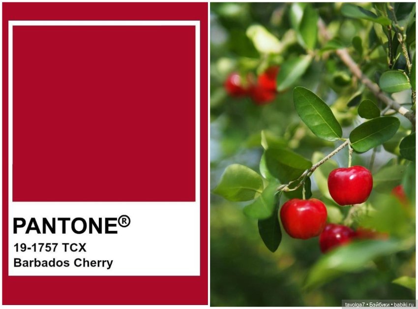 Красный цвет - база — Болталка и разговоры обо всем: жизнь (фото 6)