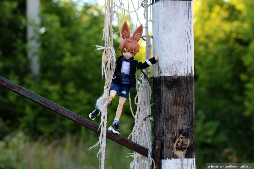 Зайцы покорили и мое сердечко (фото 7)