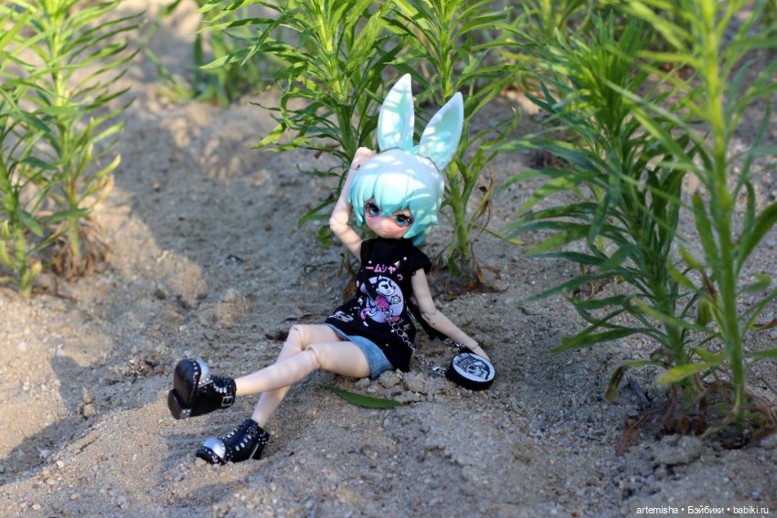 Зайцы покорили и мое сердечко (фото 3)