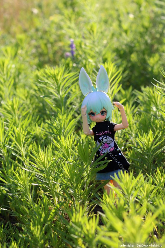 Зайцы покорили и мое сердечко (фото 2)