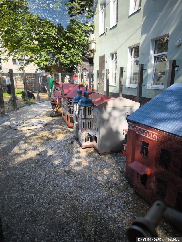 Котики Зеленоградска — Культура