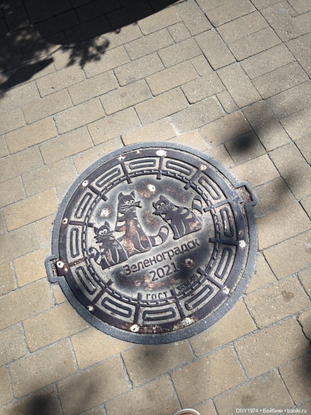 Котики Зеленоградска — Культура