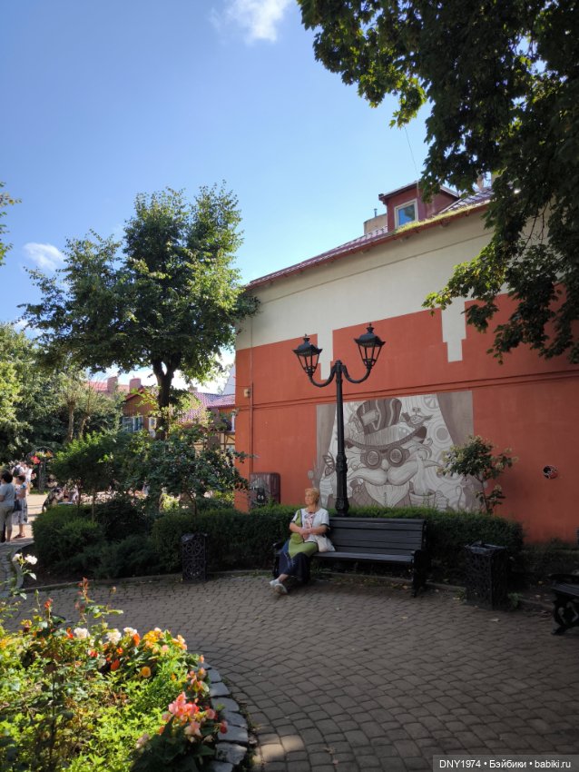 Котики Зеленоградска — Культура