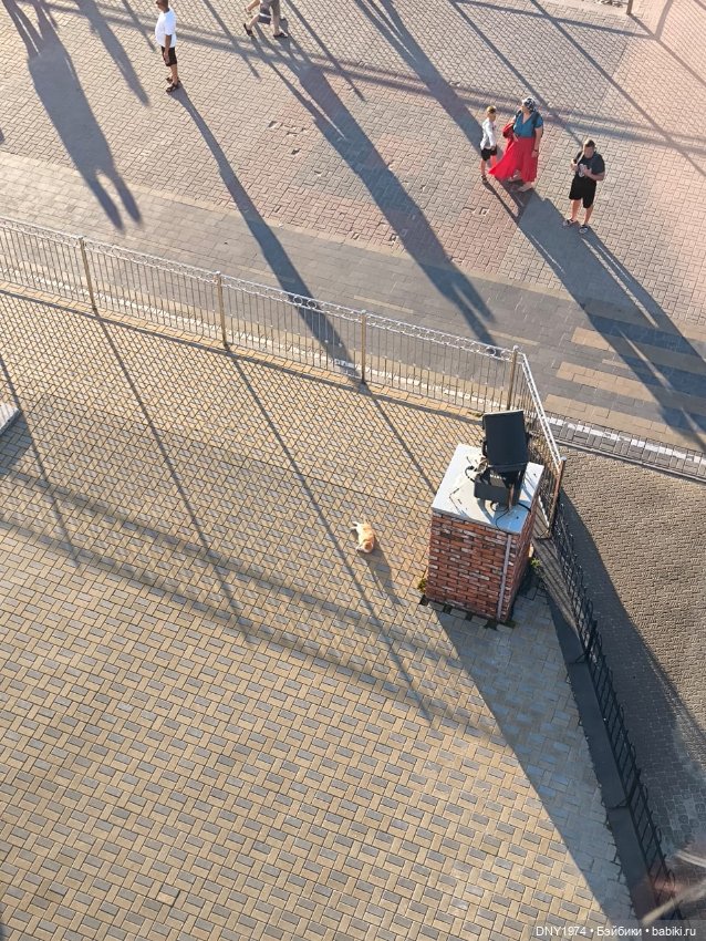 Котики Зеленоградска — Культура