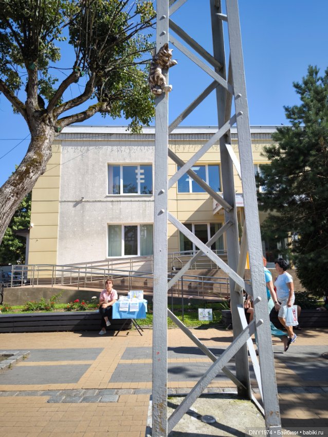 Котики Зеленоградска — Культура