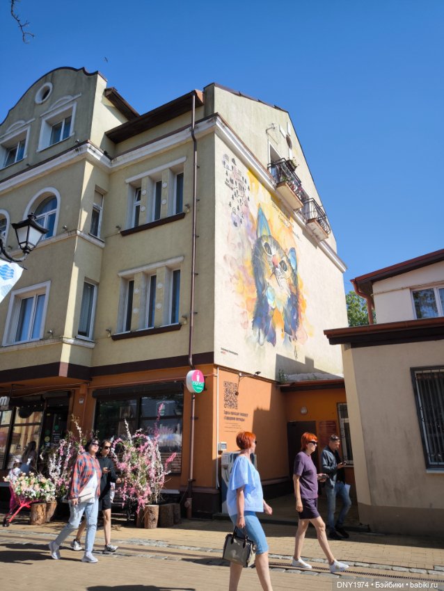 Котики Зеленоградска — Культура