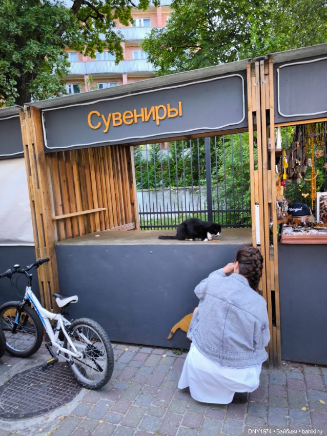 Котики Зеленоградска — Культура