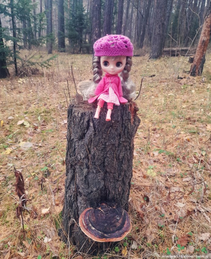 Блайзочки — Куклы Blythe (Блайз) ООАК: кастом