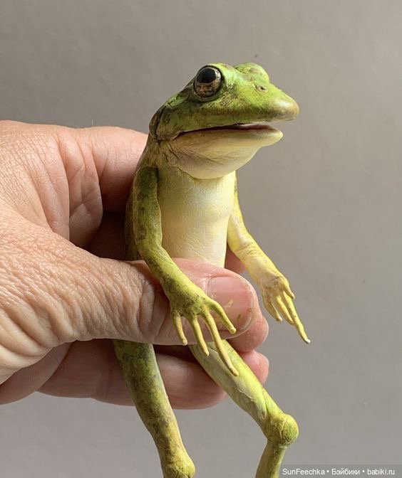 Лягушки - игрушки. Фотоподборка