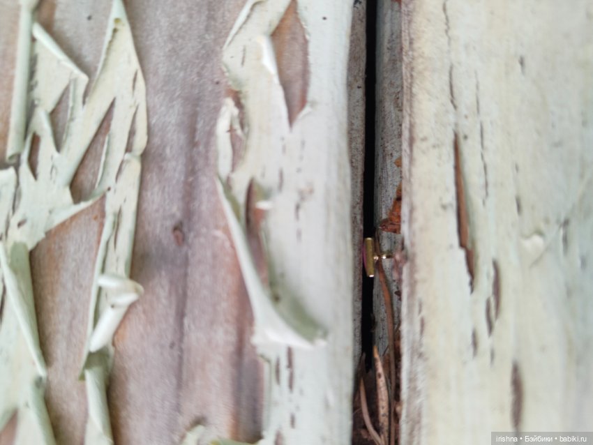 Комбезик для круиза — Одежда и обувь для кукол своими руками: фото