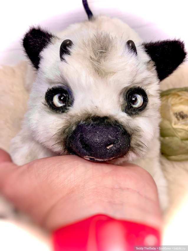 Муня 🐮🥰 — Авторские мишки Тедди и друзья: фото