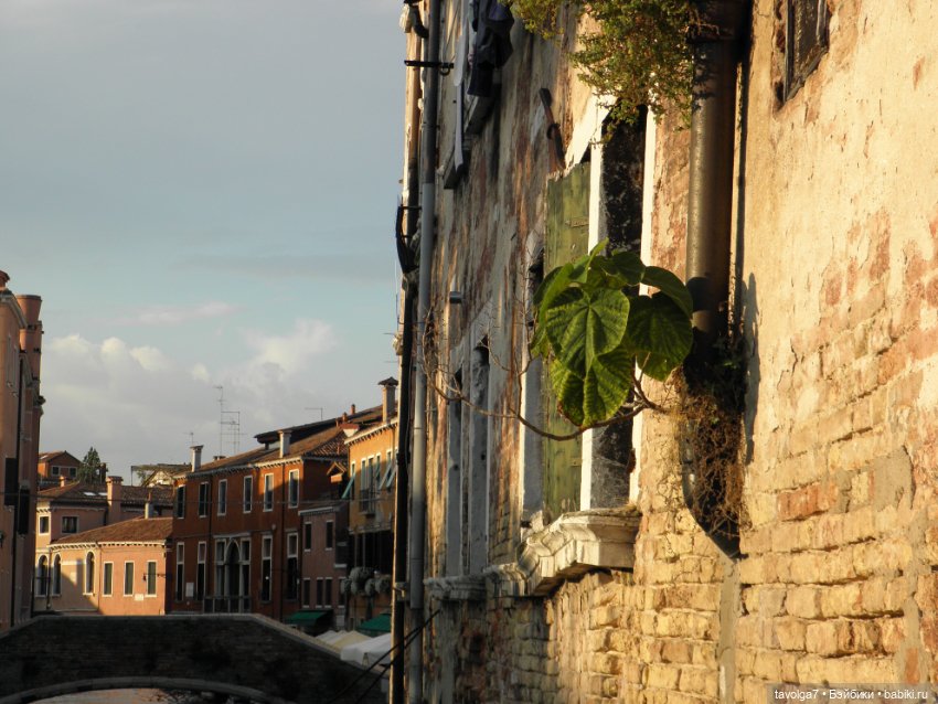 Лугнасад и фотографии из Венеции