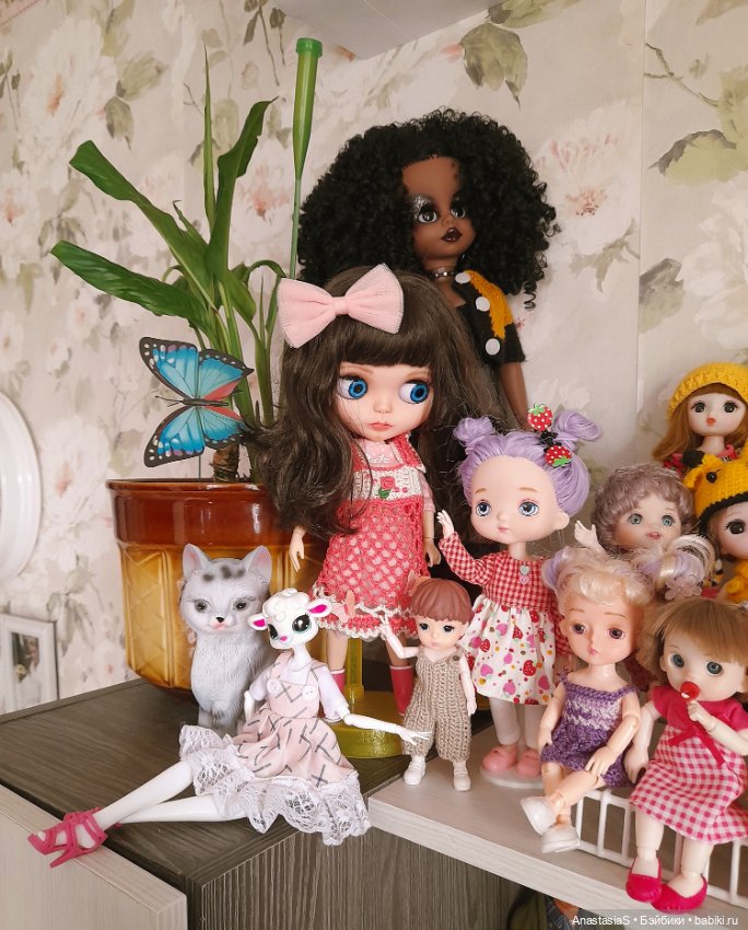 О куклах.С любовью❤ — Домашние коллекции кукол: фото собраний