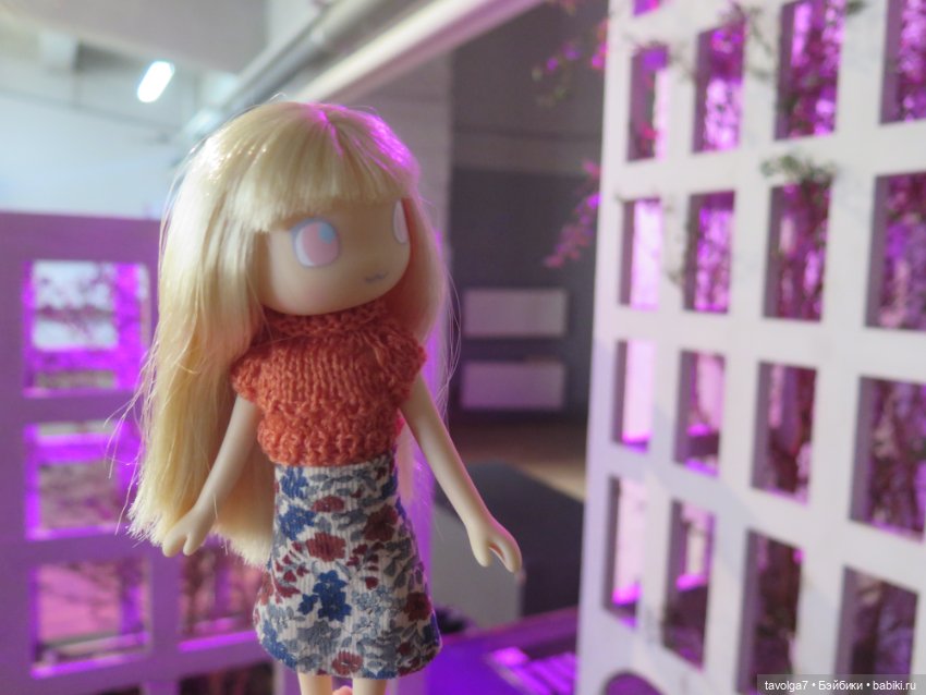 Jossie и культурная программа (фото 5)