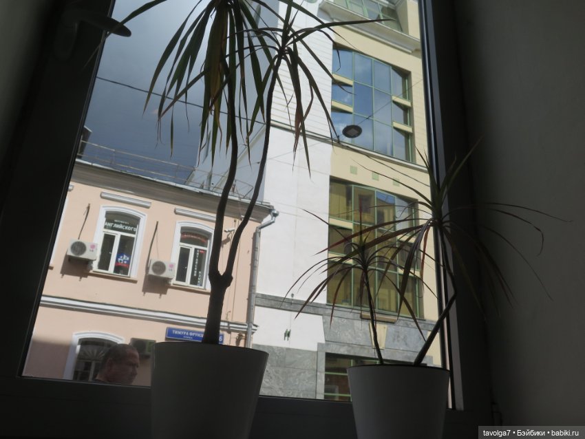 Jossie и культурная программа