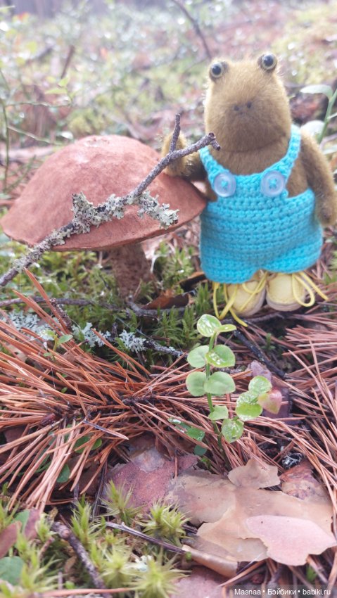 Жорджик в лесу — Домашние фото авторских игрушек: Тедди (фото 3)