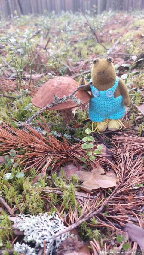 Жорджик в лесу — Домашние фото авторских игрушек: Тедди (фото 8)