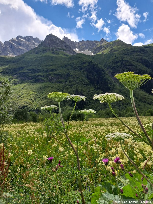 Донни и дамы — Игровые куклы разных производителей (Разное): редкие бренды (фото 4)