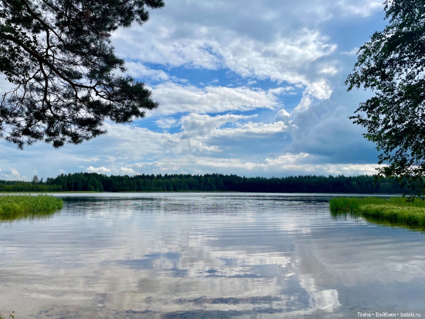 Only Hearts Club — Куклы Only Hearts Club (Хартсинки): мягконабивные