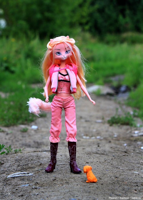 Неожиданный попутчик — Игровые куклы разных производителей (Разное): редкие бренды (фото 2)