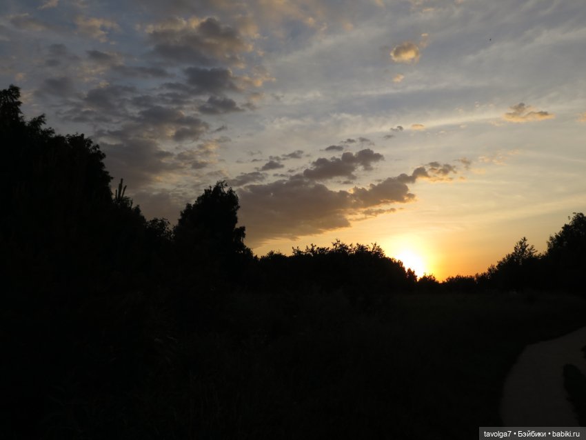 Хильди от Remco на пляже — Коллекции игровых кукол (Playline): фото полок