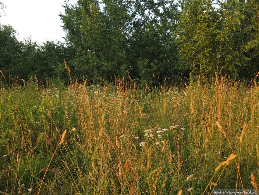 Хильди от Remco на пляже — Коллекции игровых кукол (Playline): фото полок