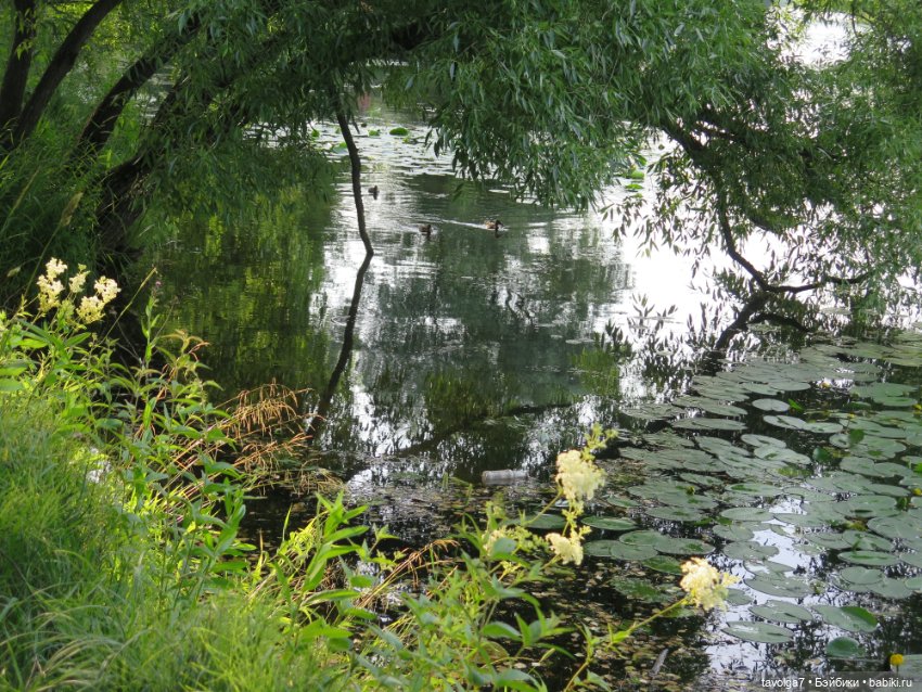 Хильди от Remco на пляже — Коллекции игровых кукол (Playline): фото полок (фото 3)