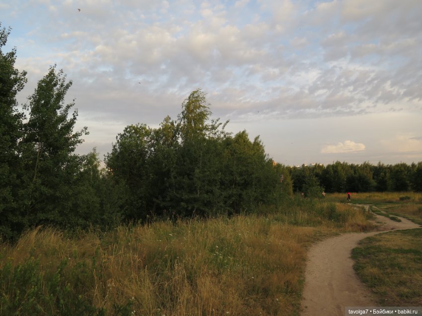 Хильди от Remco на пляже — Коллекции игровых кукол (Playline): фото полок