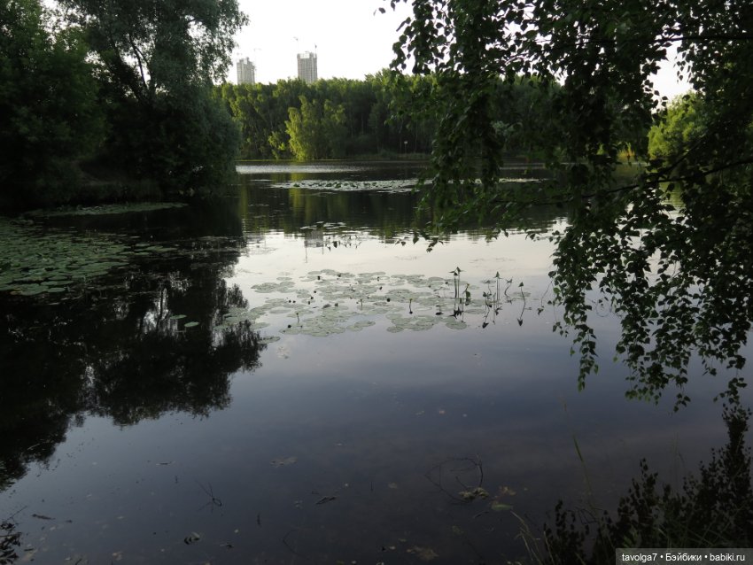 Хильди от Remco на пляже — Коллекции игровых кукол (Playline): фото полок (фото 9)