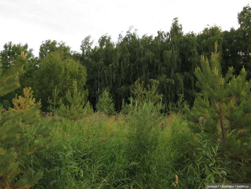 Хильди от Remco на пляже — Коллекции игровых кукол (Playline): фото полок