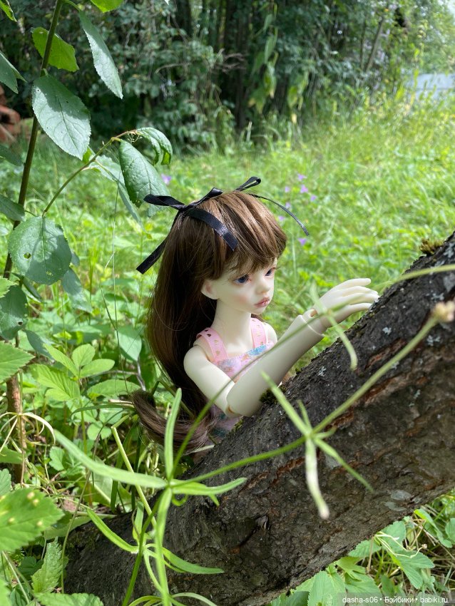 Прогулки по тенистым местам (фото 5)