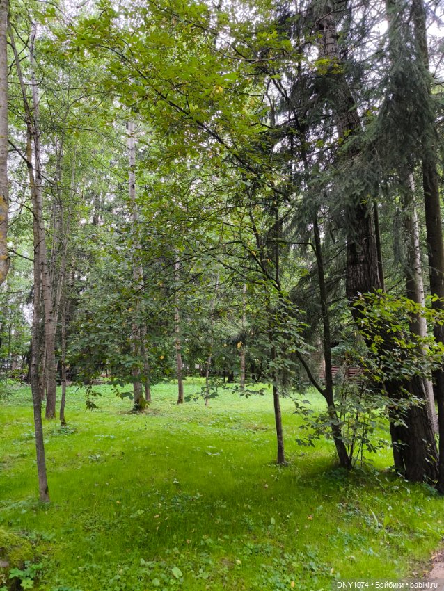 Варин корпоратив — Куклы Milim Studio (Милим): российские БЖД