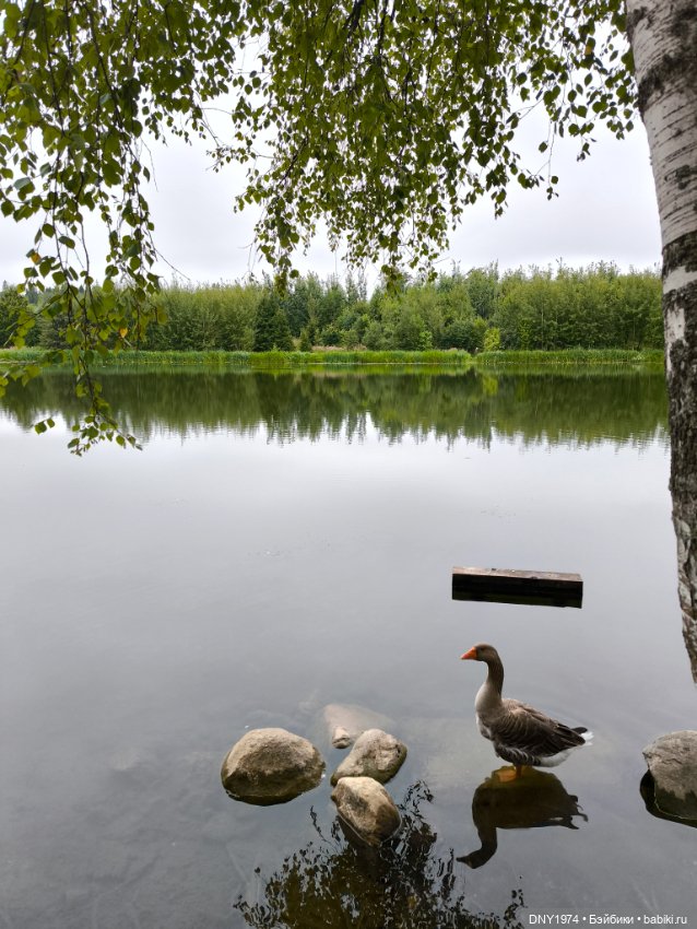 Варин корпоратив — Куклы Milim Studio (Милим): российские БЖД (фото 4)