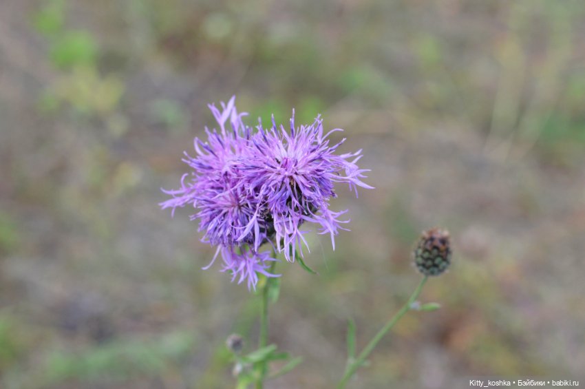 Что такое лето — Российские куклы Весна
