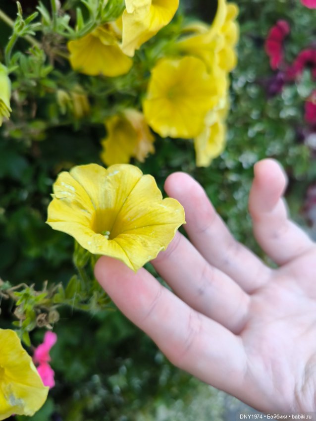 Варя гуляет по Москве — Куклы Milim Studio (Милим): российские БЖД