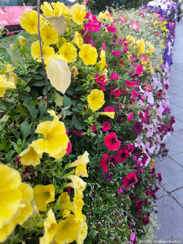 Варя гуляет по Москве — Куклы Milim Studio (Милим): российские БЖД