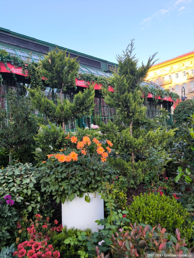 Варя гуляет по Москве — Куклы Milim Studio (Милим): российские БЖД