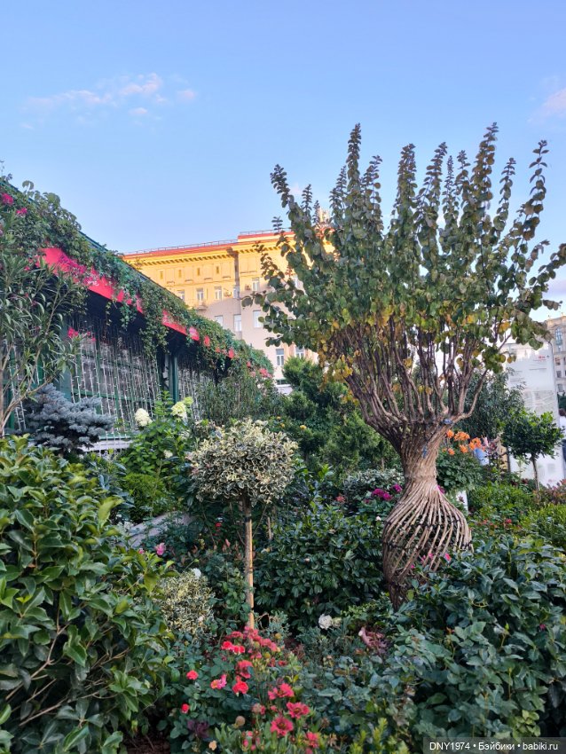 Варя гуляет по Москве — Куклы Milim Studio (Милим): российские БЖД